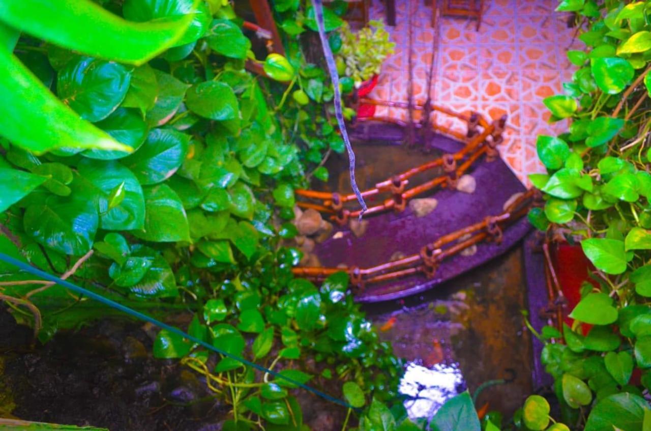 Linda Cottage กอลล์ ภายนอก รูปภาพ